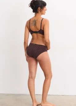 The Everyday Brief